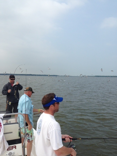 05-09-2014 Graybar and the birds with BigCrappie